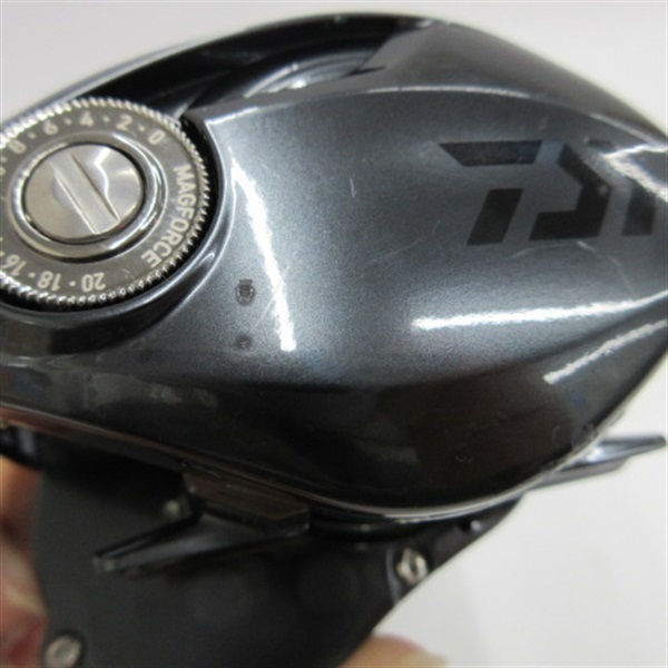 ２１タトゥーラ３００ＸＨ